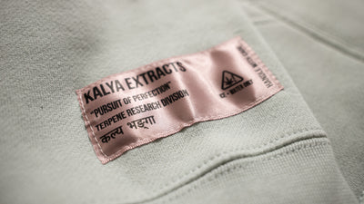 Sage Green Kalya Embroidered Pullover Jacket